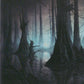 Scan Image | Swamp - Unstable | [9F3FC22E]