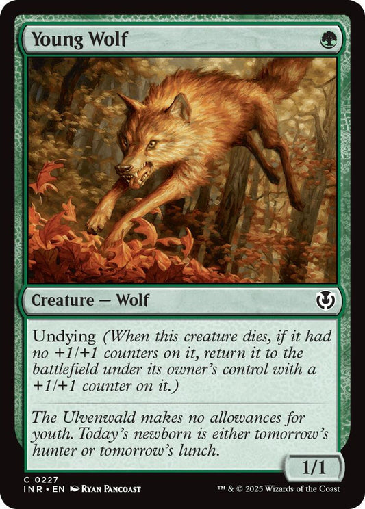Young Wolf