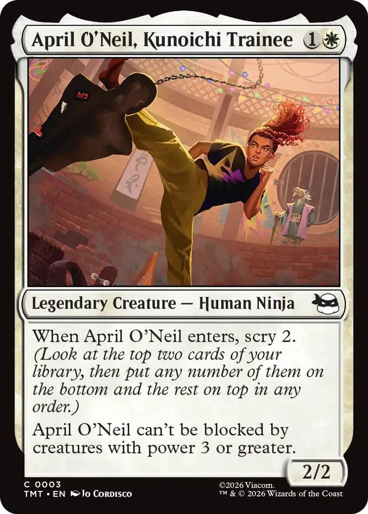 April O'Neil, Kunoichi Trainee - Teenage Mutant Ninja Turtles