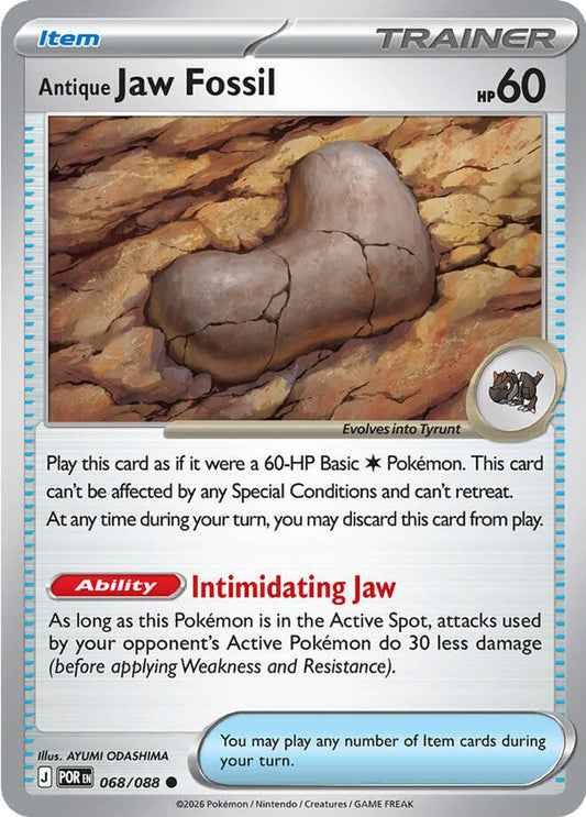 Antique Jaw Fossil - ME03: Perfect Order