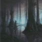 Scan Image | Swamp - Unstable | [D0E4E61B]