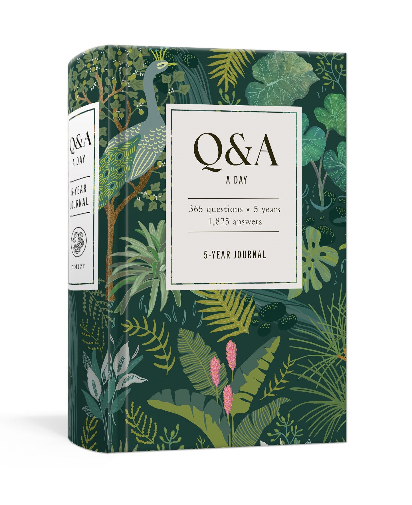 Q&A a Day Tropical (Hardback)