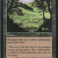 Scan Image | Summer Bloom - Visions | [8AC2D745]