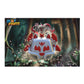 BLOX FRUITS Kitsune Collector Bundle