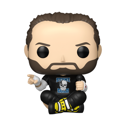 WWE - CM Punk Pop! Vinyl