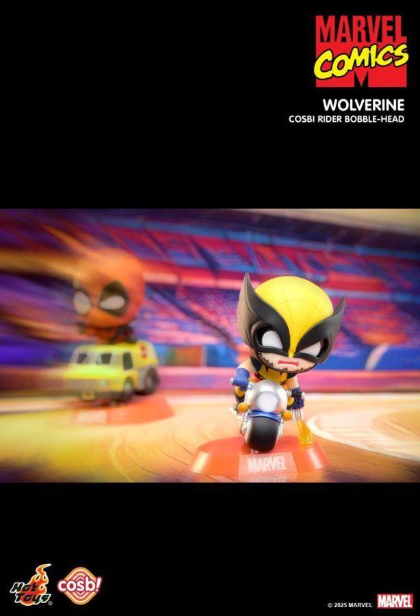 Marvel - Marvel Comics Cosbi Rider Bobble-Head Collection (Display of 6)