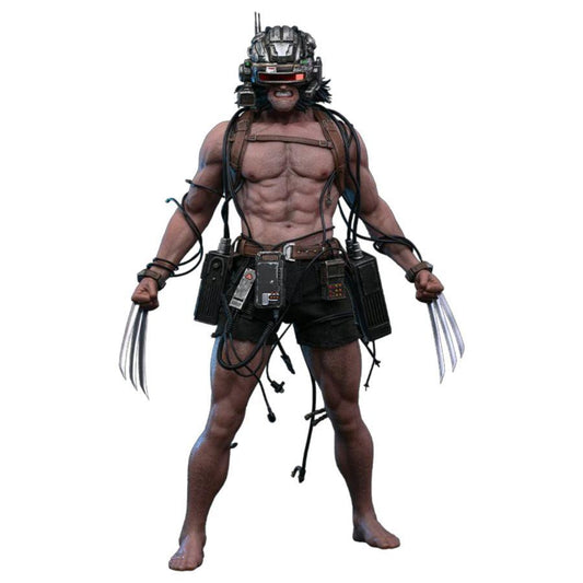 X-Men - Weapon X 1:6 Scale Collectable Action Figure