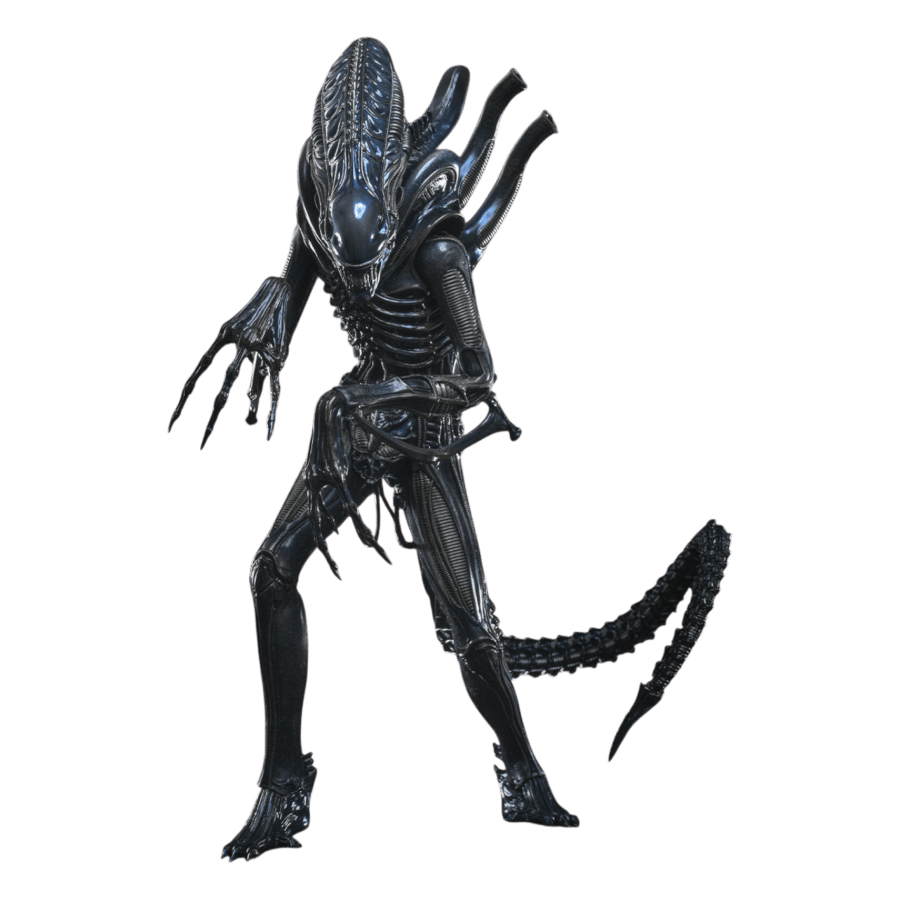 Aliens - Alien Warrior 1:6 Scale Collectable Action Figure