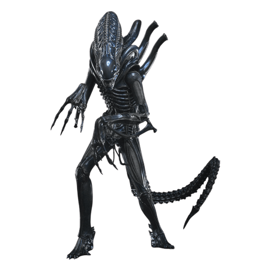 Aliens - Alien Warrior 1:6 Scale Collectable Action Figure