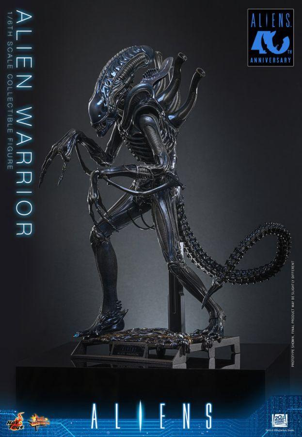 Aliens - Alien Warrior 1:6 Scale Collectable Action Figure