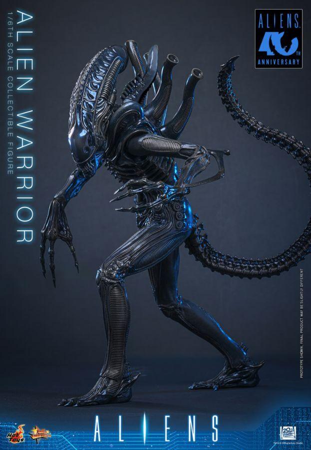 Aliens - Alien Warrior 1:6 Scale Collectable Action Figure