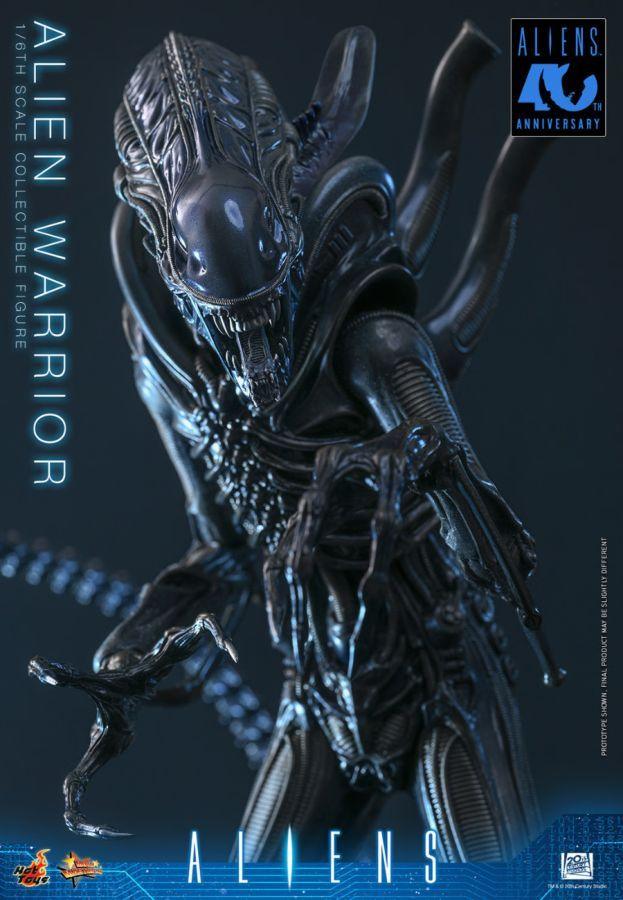 Aliens - Alien Warrior 1:6 Scale Collectable Action Figure