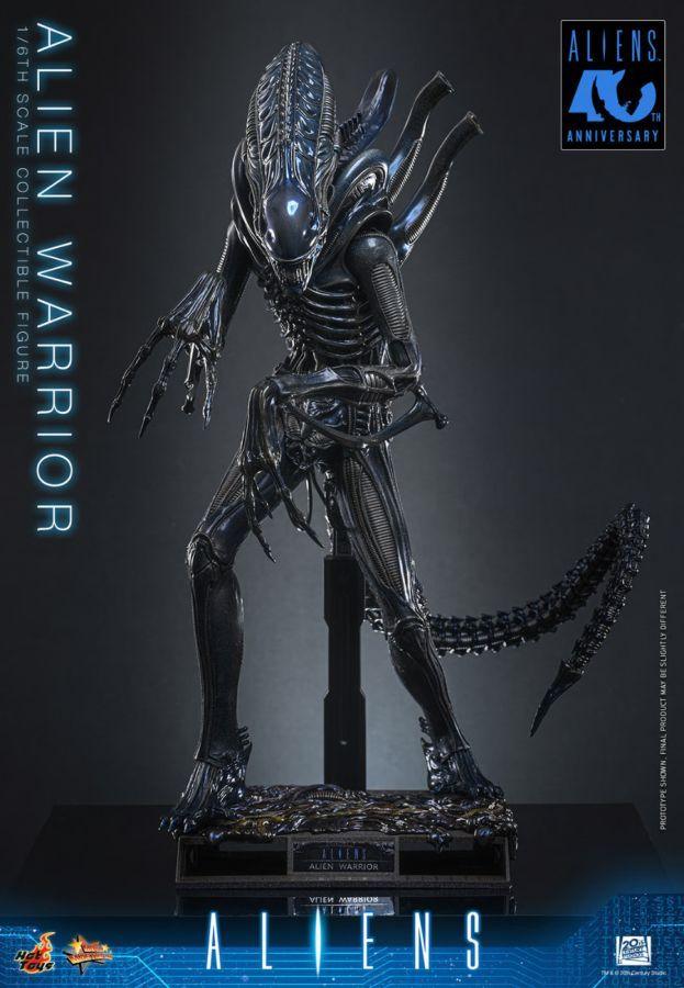 Aliens - Alien Warrior 1:6 Scale Collectable Action Figure