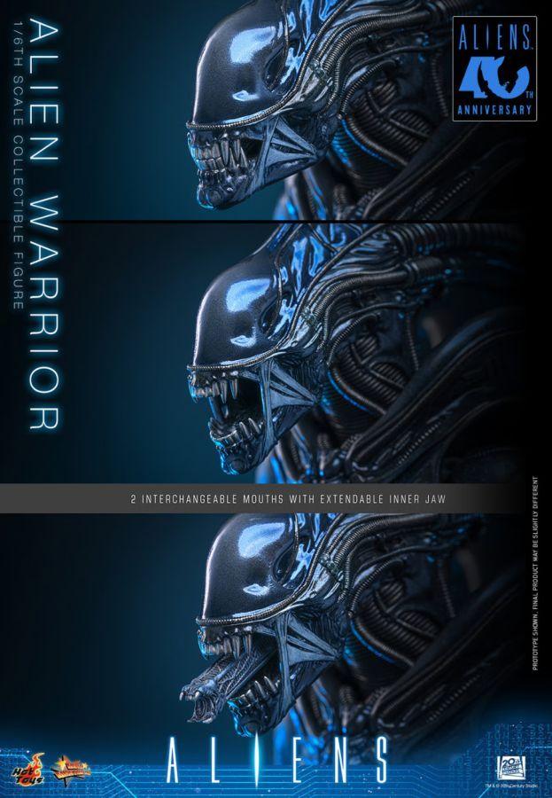 Aliens - Alien Warrior 1:6 Scale Collectable Action Figure