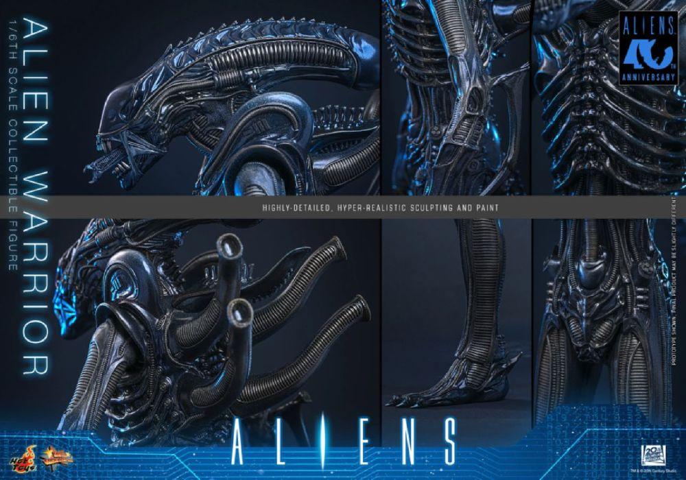 Aliens - Alien Warrior 1:6 Scale Collectable Action Figure