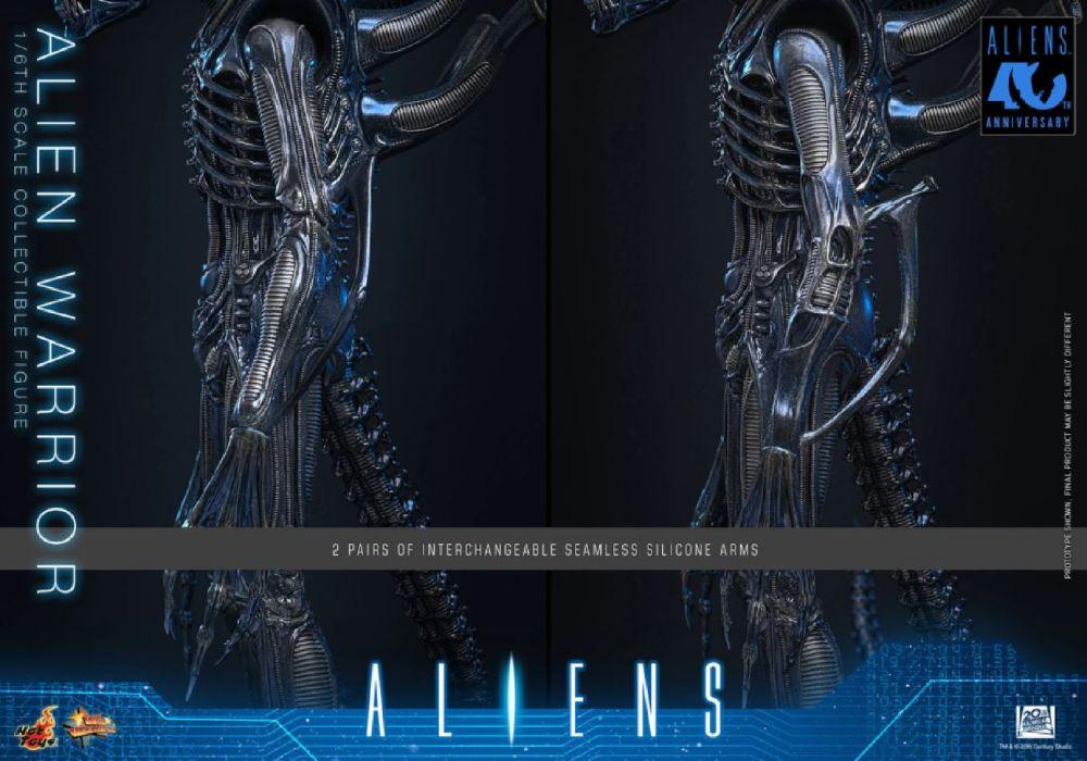 Aliens - Alien Warrior 1:6 Scale Collectable Action Figure