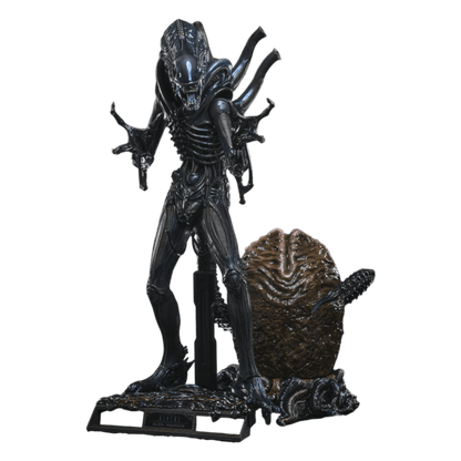 Aliens - Alien Warrior Deluxe 1:6 Scale Collectable Aciton Figure