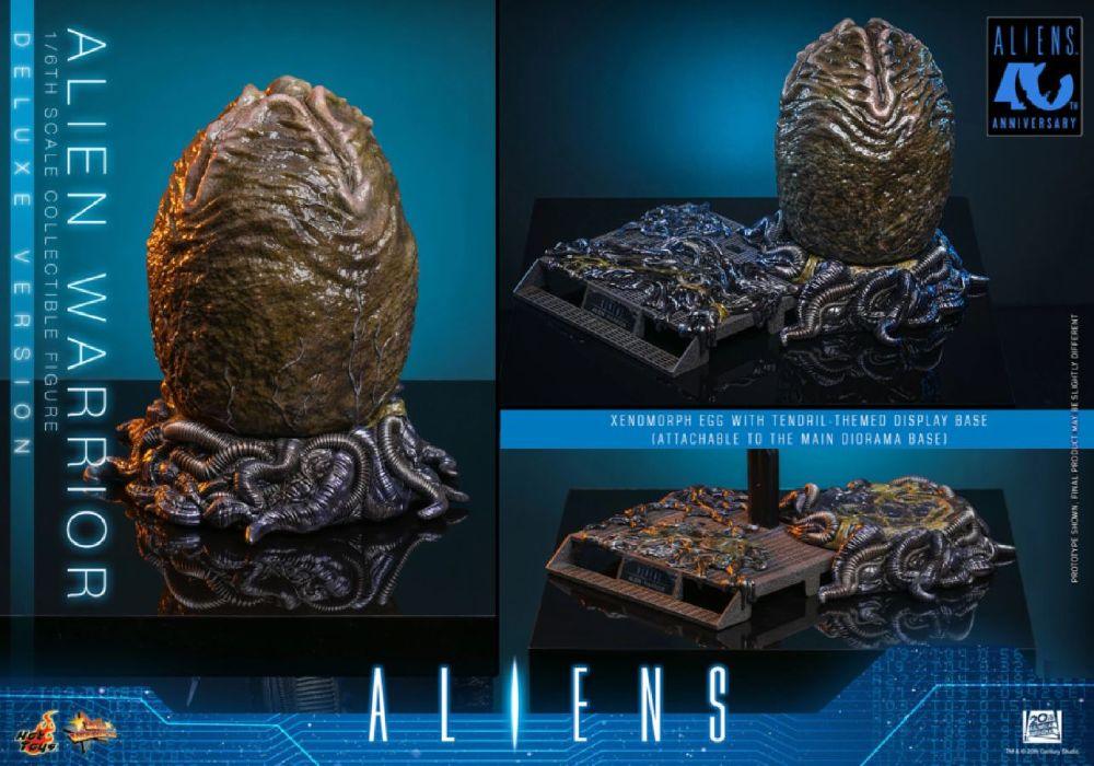 Aliens - Alien Warrior Deluxe 1:6 Scale Collectable Aciton Figure