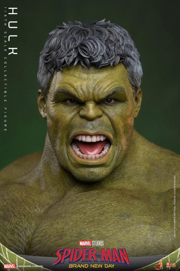 Spider-Man: Brand New Day - Hulk 1:6 Scale Collectable Action Figure