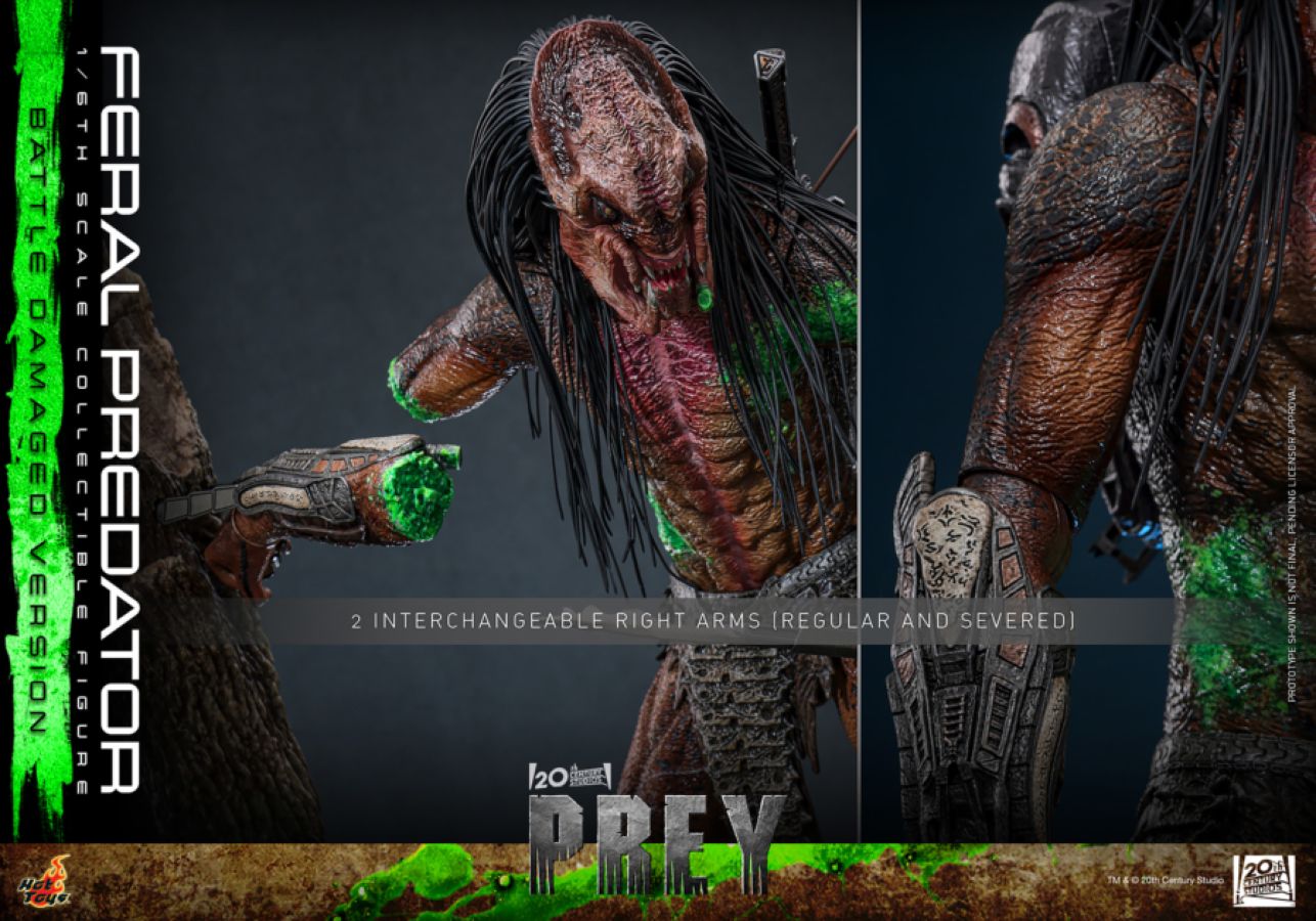 Predator: Prey - Feral Predator (Battle Damaged Version) 1:6 Scale Collectable Action Figure