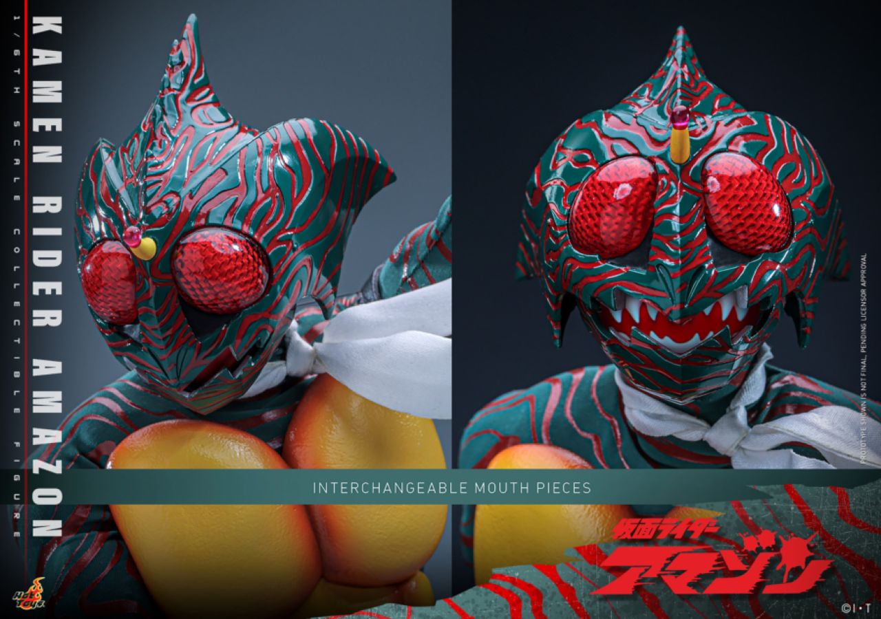 Kamen Rider Amazon - Amazon 1:6 Scale Collectible Action Figure