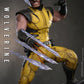 Wolverine (VG 2027) - Wolverine (Collector Version) 1:6 Scale Collectable Action Figure