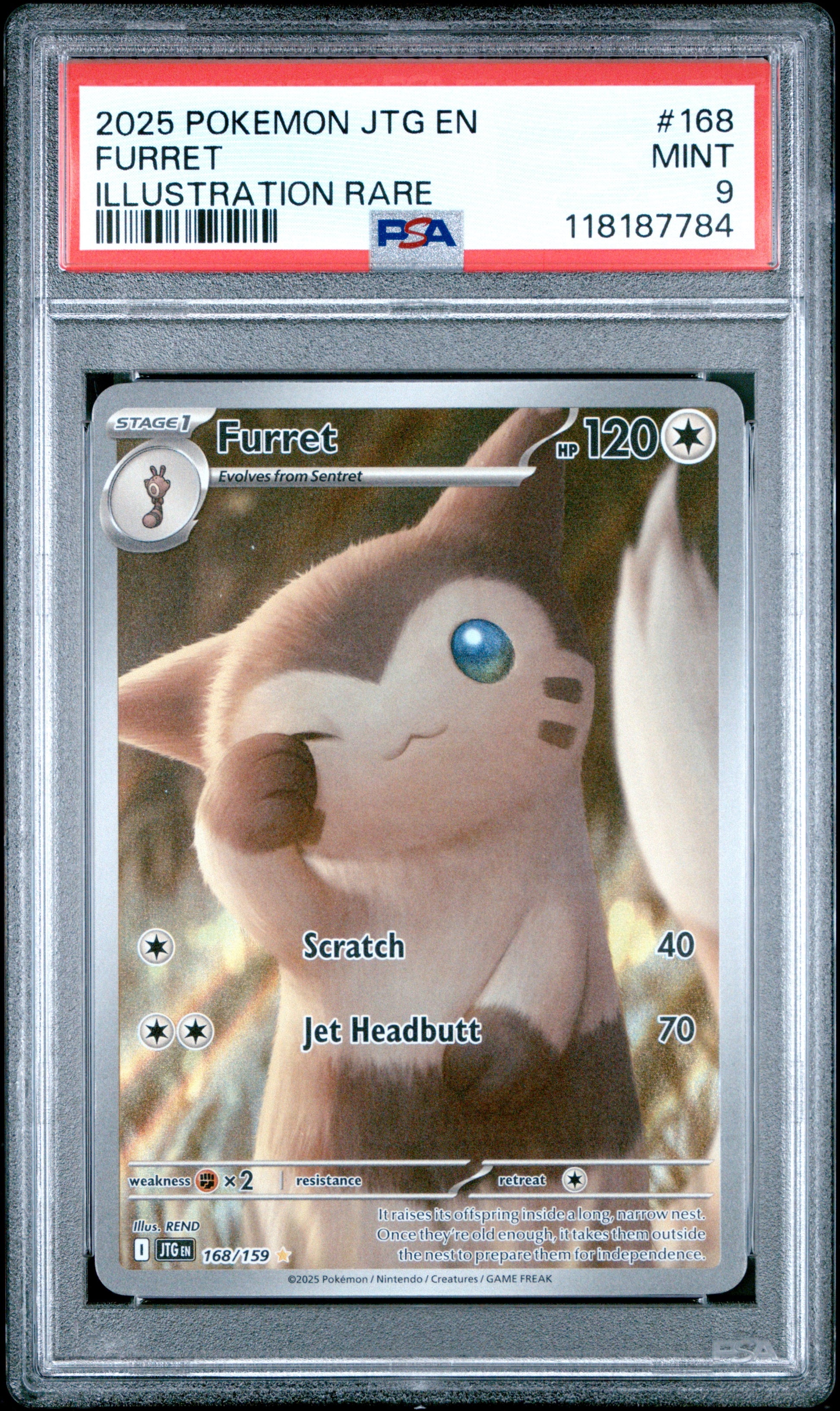 2025 Pokemon Jtg En-Journey Together 168 Furret Illustration Rare - PSA 9