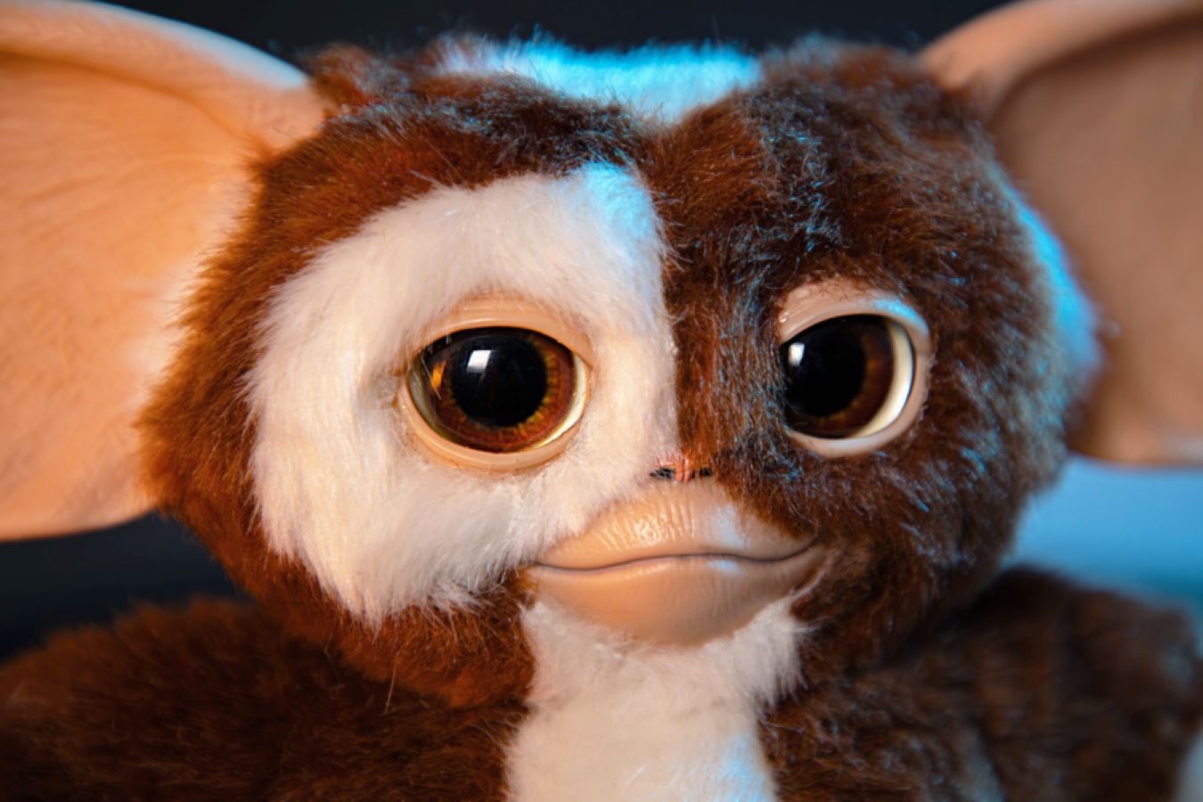 Gremlins - Singing & Dancing Replica Gizmo Plush