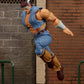 Street Fighter - T. Hawk 6" Deluxe Action Figure