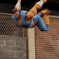 Street Fighter - T. Hawk 6" Deluxe Action Figure