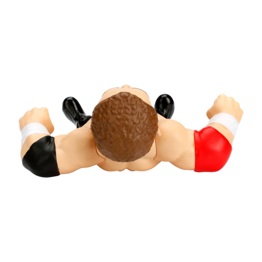 WWE - Sami Zayn 4" Metals