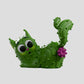 Kaleidos Creative - Pricklepuss Blind Box 6ct CDU (Series 1)