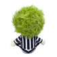 Beetlejuice - Beetlejuice Plush Toy