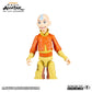 Avatar: The Last Airbender - Aang 5" Scale Action Figure