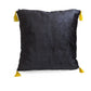 Harry Potter - Hufflepuff House Mascot Plush & Cushion