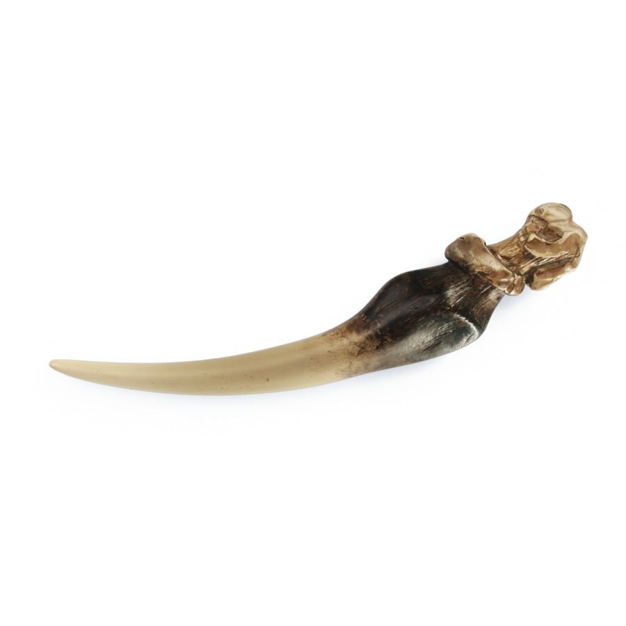 Harry Potter - Tom Riddle Diary & Basilisk Fang Replica