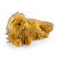 Harry Potter - Crookshanks Plush