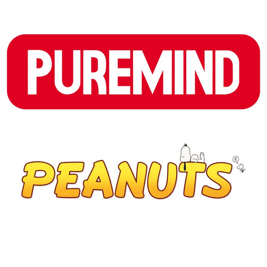 Peanuts - Amusement Park Series - Snoopy Ferris Wheel Construction Craft Set