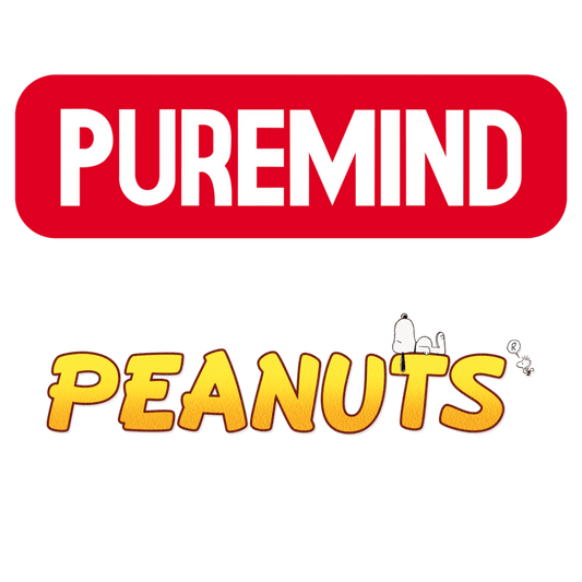 Peanuts - Amusement Park Series - Snoopy Pirate Ship Construction Craft Set