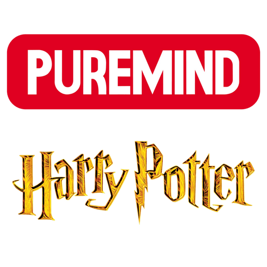 Harry Potter - Fawkes Construction Craft Set
