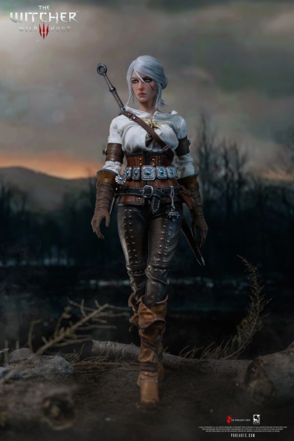 The Witcher 3:Wild Hunt - Ciri of Cintra 1:6 Scale Action Figure