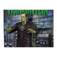 Frankenstein - Frankenstein Poster Figure
