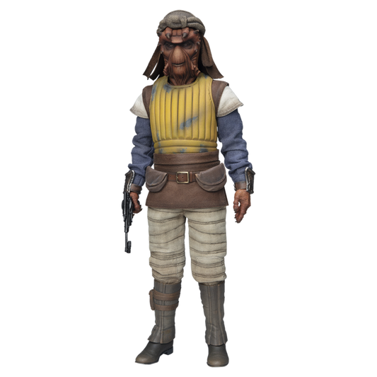 Star Wars - Vizam 1:6 Scale Collectible Action Figure