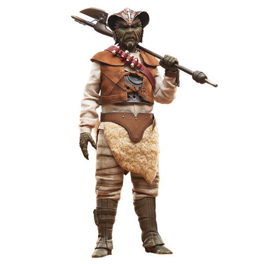 Star Wars - Wooof 1:6 Scale Collectible Action Figure