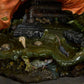 Batman - Killer Croc Premium Format Statue