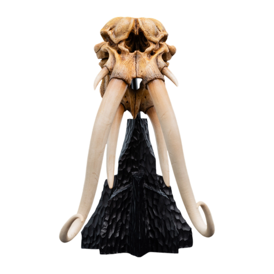 The Lord of the Rings - Skull of A Mumak SDCC 2025 Miniature Statue