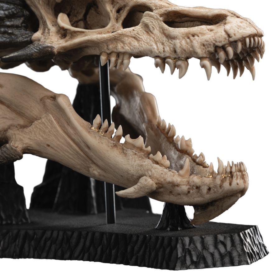 The Hobbit - Skull of Smaug Miniature