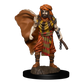Dungeons & Dragons - Premium Human Druid Male Miniature