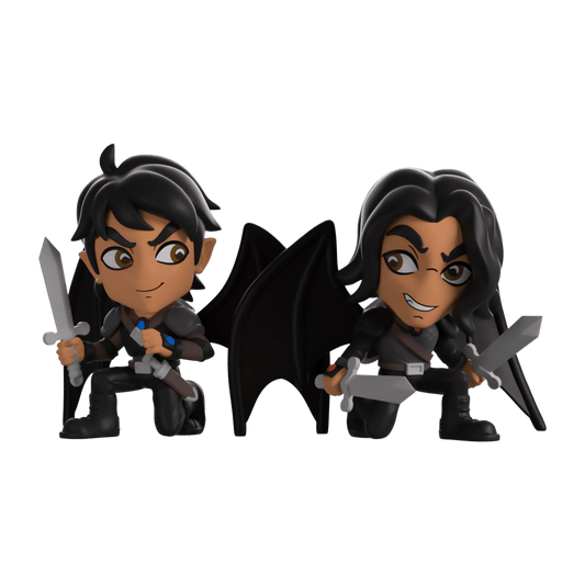 A Court of Thorns and Roses - Azriel and Cassian Vinyl