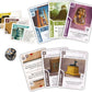 Ancient Knowledge - Heritage Expansion